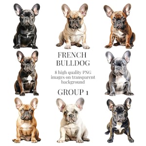 Französische Bulldogge Clipart | Hochwertiges transparentes PNG | Aquarell Illustration | Frenchie Hunde, Papier Basteln | Sofortiger digitaler Download