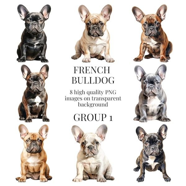 French Bulldog Clipart | High-Quality Transparent PNG | Watercolor Illustration | Frenchie Dogs, Paper Crafting | Instant Digital Download
