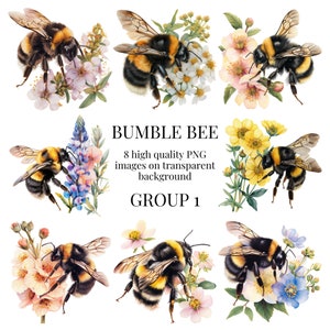 Bumble Bee-clipart | Hoogwaardige transparante PNG | Aquarel Bug Illustratie | Knutselen, ontwerpen, papier maken | Direct digitaal downloaden