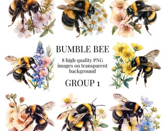 Bumble Bee Clipart / PNG transparente de alta calidad / Ilustración de insectos de acuarela / Artesanías, Diseños, Elaboración de papel / Descarga digital instantánea