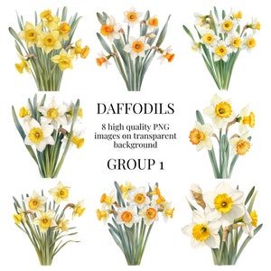 Daffodil Clipart | Transparent PNG | High-Quality Watercolor Illustration | Spring Floral Crafts, DIY Easter Art | Instant Digital Download