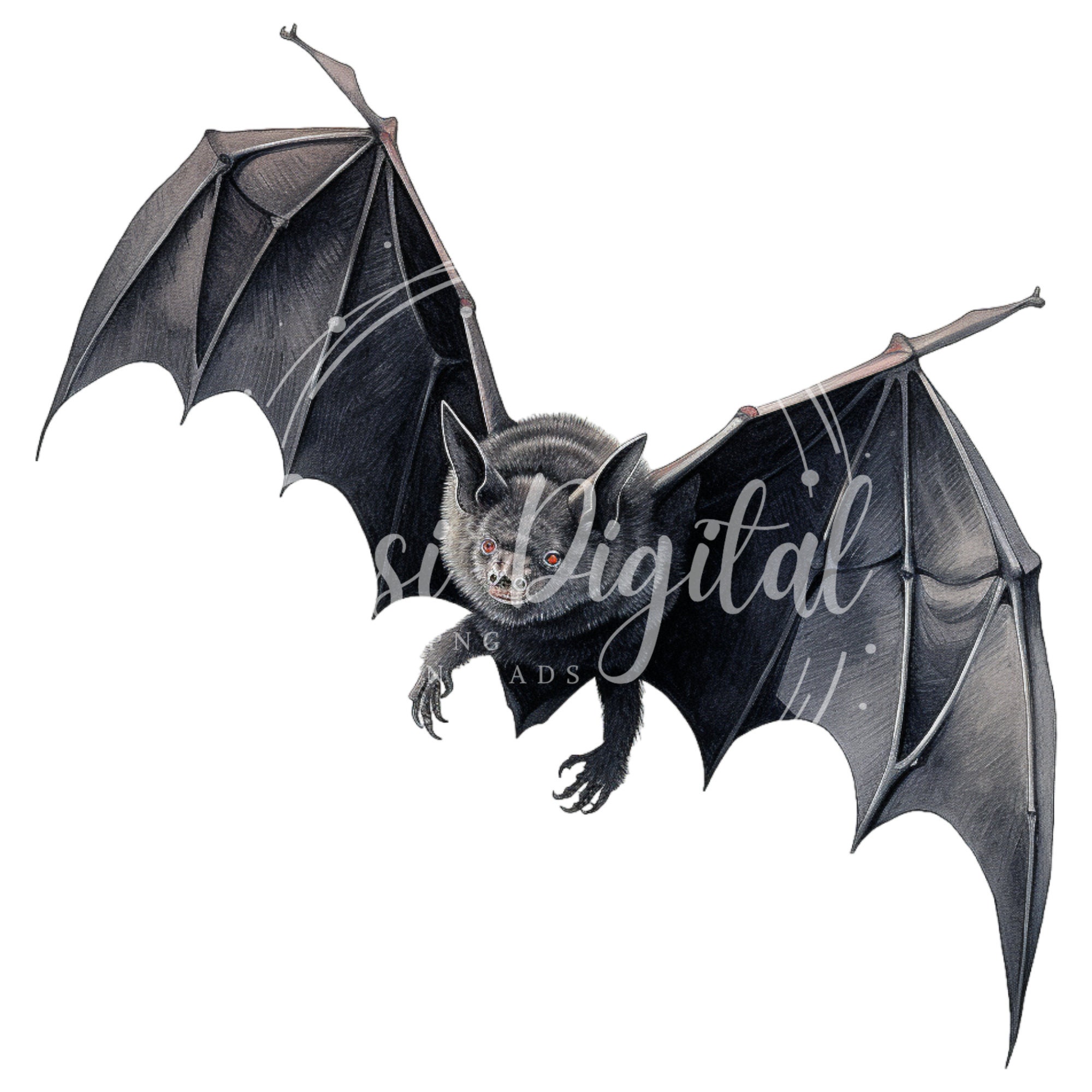 Bat Clipart High-quality Transparent PNG Watercolor Art - Etsy
