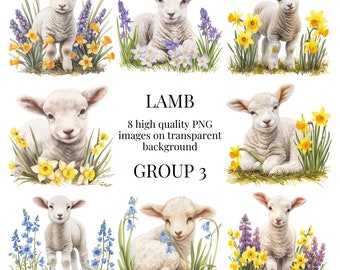 Spring Lamb Clipart | High-Quality Transparent PNG | Watercolor Sheep Illustration | Crafting, Farmyard, Flowers | Instant Digital Download
