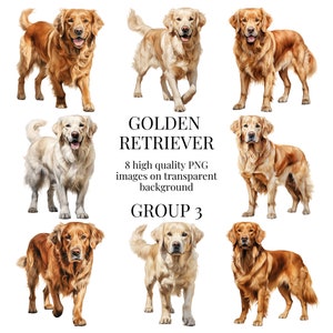 Clipart de Golden Retriever | PNG transparente de alta qualidade | Ilustração em aquarela | Cachorro de estimação, artesanato em papel | Download Digital Instantâneo