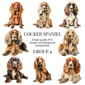 Cocker-spaniël clipart | Hoogwaardige transparante PNG | Aquarel hond illustratie | Dierenontwerpen, Papierbewerking | Direct digitaal downloaden