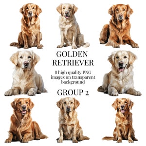 Gouden Retriever Clipart | Hoogwaardige transparante PNG | Aquarelillustratie | Huisdier puppy hond, papier knutselen | Direct digitaal downloaden