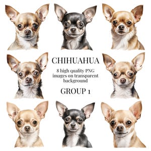 Chihuahua Clipart | High-Quality Transparent PNG | Watercolor Dog Illustration | Handmade Gifts, Paper Crafting | Instant Digital Download