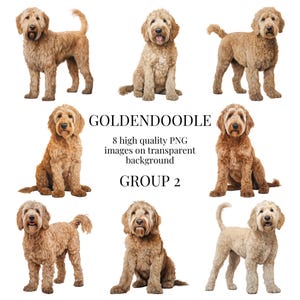 Clipart di Goldendoodle / PNG trasparenti di alta qualità / Illustrazione di un cane ad acquerello / Creazione di carta stampabile fai da te / Download digitale istantaneo