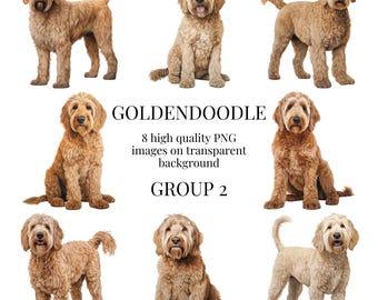 Goldendoodle Clipart | High-Quality Transparent PNG | Watercolor Dog Illustration | DIY Printable Paper Crafting | Instant Digital Download