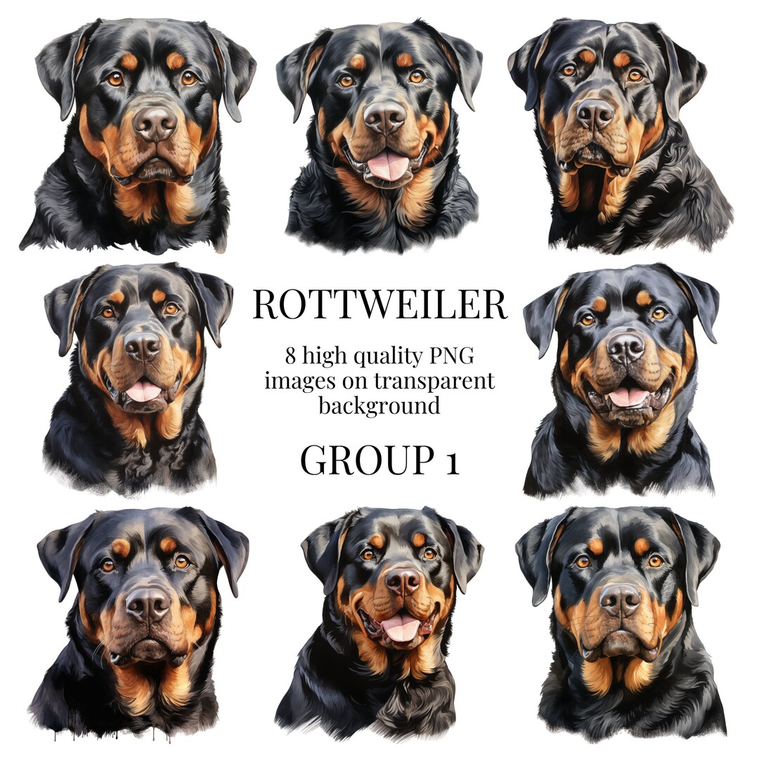 Rottweiler Clipart | High-quality Transparent PNG | Watercolor Pet Dog ...