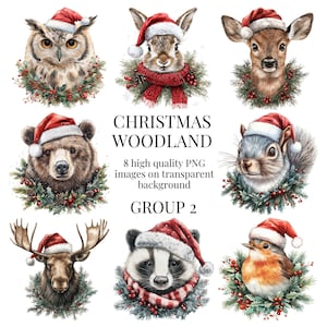 Animaux des bois de Noël | PNG transparents de haute qualité | Illustration aquarelle | Création de cartes en forêt festive | Téléchargement numérique instantané