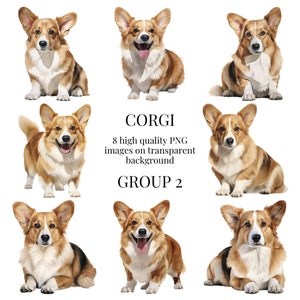 Pembroke Welsh Corgis Clipart | Hochwertiges transparentes PNG | Aquarell Illustration | Hund Wandkunst, Papierkunst | Sofortiger digitaler Download