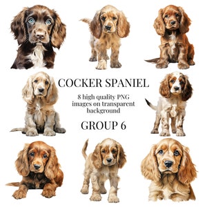 Cocker Spaniel Puppy Clipart | High-Quality Transparent PNG | Watercolor Illustration | Dog Designs, Paper Crafts | Instant Digital Download