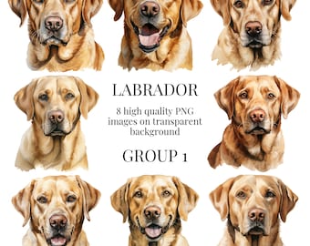 Gele Labrador clipart | Hoogwaardige transparante PNG | Aquarel hond illustratie | Afdrukbare ambachten, ontwerpen | Direct digitaal downloaden