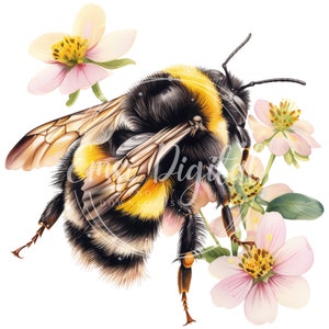 May include: A bumblebee with black and yellow stripes is perched on a pink flower with green leaves. The bee has fuzzy black and yellow stripes and is surrounded by pink flowers.