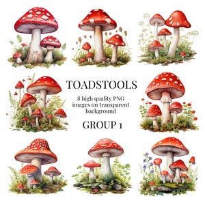Clipart de champignon vénéneux | PNG transparents de haute qualité | Illustration aquarelle de forêt | champignons, champignons, forêts | Téléchargement numérique instantané