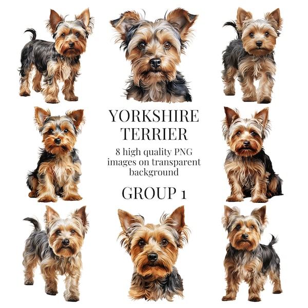Yorkshire Terrier Clipart | High-Quality Transparent PNG | Watercolor Dog Illustration | Crafts, Card Making, DIY | Instant Digital Download