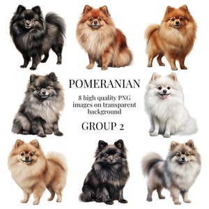 Pommeren Clipart | Hoogwaardige transparante PNG | Aquarel hond illustratie | Afdrukbare papiermodellen, kunst aan de muur | Direct digitaal downloaden