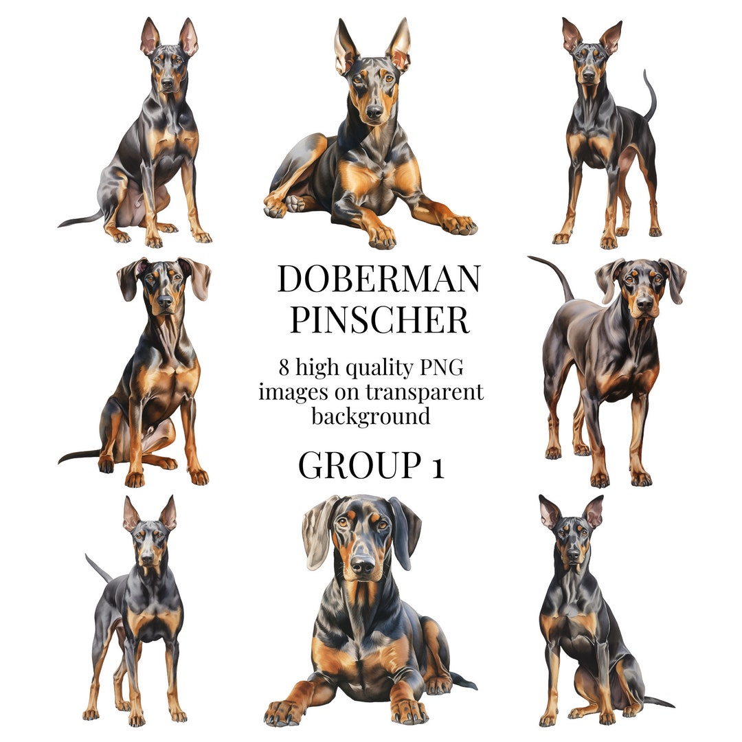 Doberman Pinscher Clipart | High-quality Transparent PNG | Watercolor ...