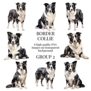 Collie Clipart | Hochwertiges transparentes PNG | Aquarell Hund Illustration | Handgemacht DIY Papier Handwerk | Sofortiger digitaler Download