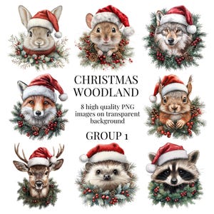 Imágenes prediseñadas de animales del bosque navideño / PNG transparente de alta calidad / Ilustración de acuarela / Manualidades festivas de bricolaje / Descarga digital instantánea