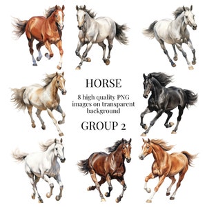Pferd Clipart | Hochwertiges transparentes PNG | Aquarell Reiter Illustration | DIY Printable Papierhandwerk | Sofortiger digitaler Download