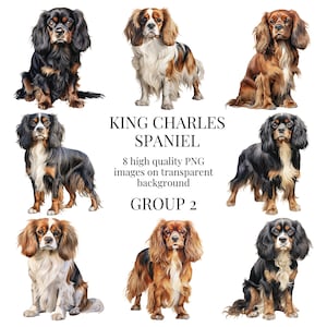 Cavalier King Charles Spaniel Clipart | PNG transparents de haute qualité | Illustration de chien à l'aquarelle | Art imprimable| Téléchargement numérique instantané