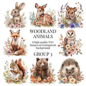 Floral Woodland Animal Clipart / PNG transparente de alta calidad / Ilustración de acuarela / Bosque, Elaboración de papel / Descarga digital instantánea