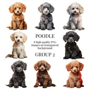 Pudel Clipart | Hochwertiges transparentes PNG | Aquarell Welpe Hund Illustration | Haustier Wand Kunst, Papier Handwerk | Sofortiger digitaler Download