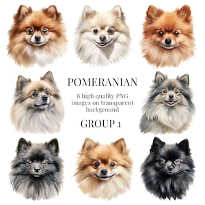 Pomeranian Clipart | High-Quality Transparent PNG | Watercolor Dog Illustration | Printable Paper Craft, Wall Art | Instant Digital Download