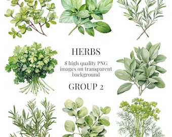 Herbs Clipart | Transparent PNG | High-Quality Watercolor Illustration | Plants, Cookery, Menu, Gardening, Crafts | Instant Digital Download