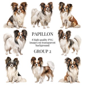 Papillon-clipart | Hoogwaardige transparante png | Aquarel hond illustratie | Afdrukbare papieren ambachten, plakboek | Directe digitale download