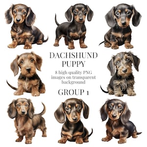 Dackel Welpe Clipart | Hochwertiges transparentes PNG | Aquarell Hund Illustration | Wurst Hund Papiermodelle | Sofortiger digitaler Download