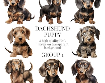Dachshund Puppy Clipart | High-Quality Transparent PNG | Watercolor Dog Illustration | Sausage Dog Paper Crafts | Instant Digital Download