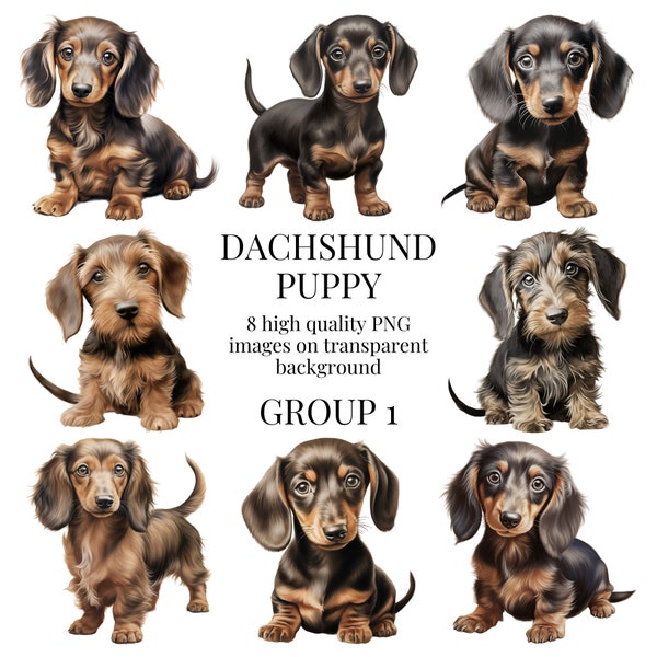 Dachshund Puppy Clipart | High-Quality Transparent PNG | Watercolor Dog Illustration | Sausage Dog Paper Crafts | Instant Digital Download