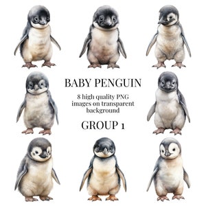 Clipart bébé pingouin | PNG transparents de haute qualité | Aquarelle AnimalIllustration | Artisanat en papier pour bricolage antarctique | Téléchargement numérique instantané