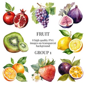 Fruit Clip Art | Transparent PNG | Watercolor Illustration | Kitchen Decor, Paper Crafts, Menu Design, Food Image | Instant Digital Download