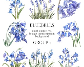 Bluebell Clipart | Transparent PNG | High-Quality Watercolor Illustration | Spring Floral Crafts, DIY Easter Art | Instant Digital Download
