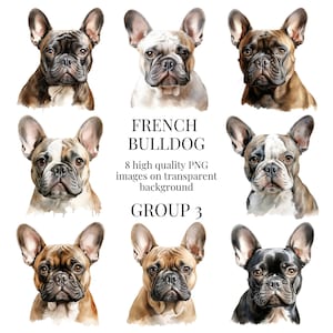 Clipart de Bulldog Francês | PNG transparente de alta qualidade | Ilustração em aquarela | Cães Frenchie, Artesanato em Papel | Download Digital Instantâneo