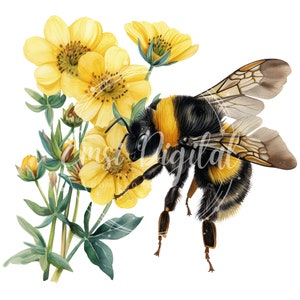 May include: A bumblebee with black and yellow stripes is perched on a yellow flower with green leaves. The bee has its wings spread out and is collecting pollen from the flower.