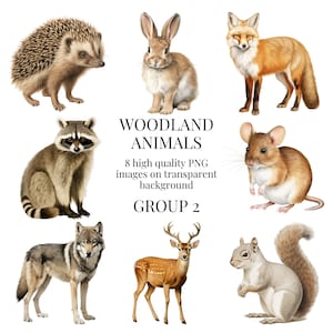 Woodland Animal Clipart / PNG transparente de alta calidad / Ilustración de acuarela / Amigos del bosque, Elaboración de papel / Descarga digital instantánea