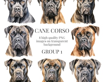 Clipart Cane corso | PNG transparents de haute qualité | Illustration aquarelle | de Chien, créations numériques sur papier | Téléchargement numérique instantané