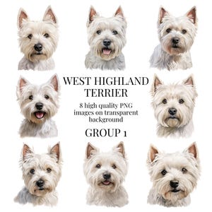 West Highland Terrier Clipart | Hochwertiges transparentes PNG | Aquarell Hund Illustration | Druckbare Basteln | Sofortiger digitaler Download
