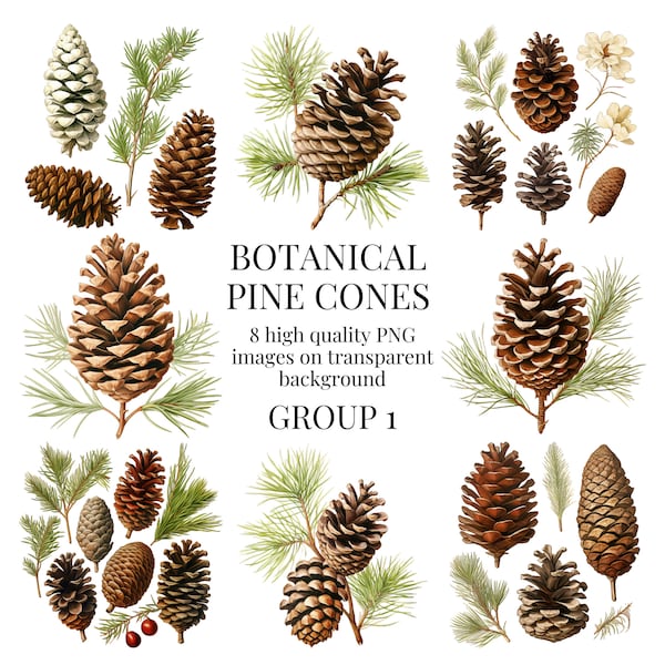 Botanical Pine Cones Clipart | High-Quality Transparent PNG | Watercolor Illustration | Printable Paper Crafts | Instant Digital Download
