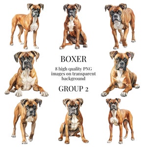 Clipart boxeur | PNG transparents de haute qualité | Illustration de chien à l'aquarelle | Créations numériques en papier, oeuvres d'art imprimables | Téléchargement numérique instantané