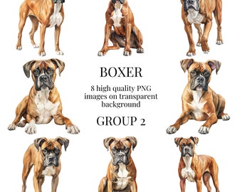 May include: Eight watercolor illustrations of Boxer dogs in various poses. The dogs are brown and white with black noses and eyes. The images are on a transparent background.