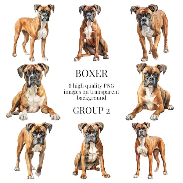 Boxer Clipart | High-Quality Transparent PNG | Watercolor Dog Illustration | Digital Paper Craft, Printable Art | Instant Digital Download