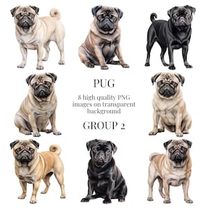 Pug Clipart | High-Quality Transparent PNG | Watercolor Dog Illustration | Printable Paper Crafting, Wall Art | Instant Digital Download