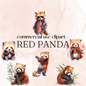 red panda clipart png digital download, watercolor red pandas, cute expressions, commercial and personal use, instant download
