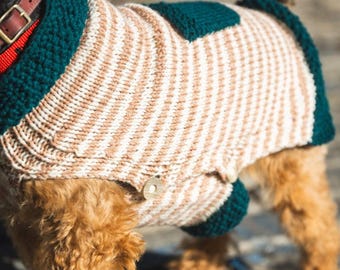 May include: A dog wearing a handmade knit sweater. The sweater features alternating beige and white stripes with dark teal trim around the neck and edges. A small, round button secures the sweater.